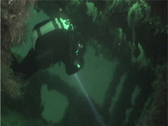 Sub-aquatic stone forest